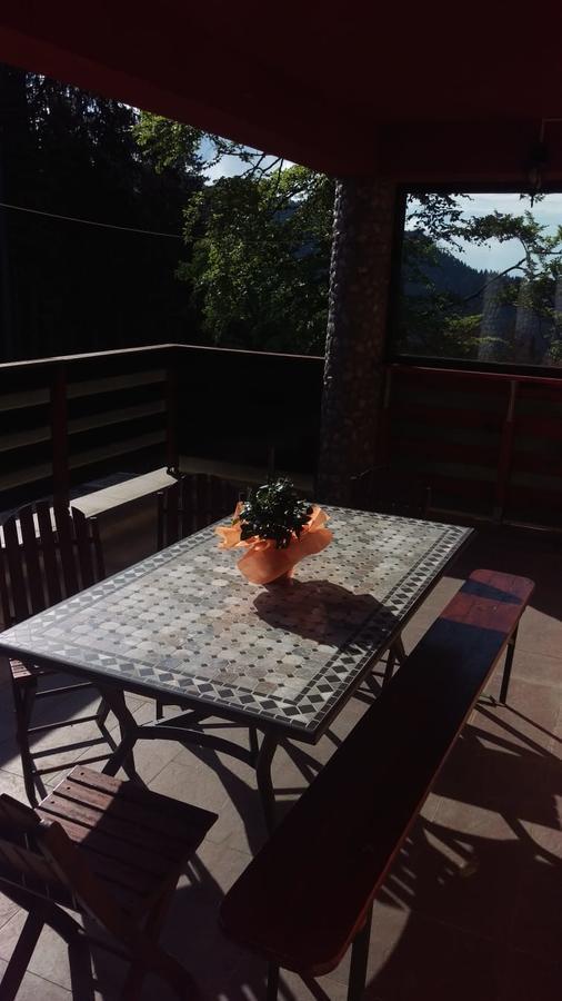 Casa De Vacanta Paraul Rece Ngoại thất bức ảnh